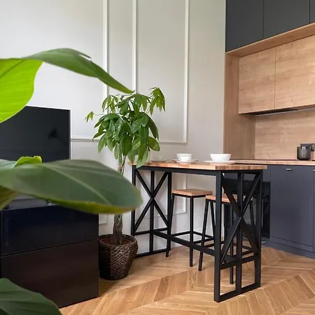 Apartament Grafitowy *